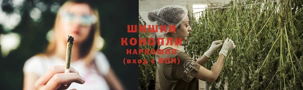 твердый Абаза