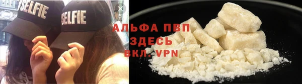 крисы Алексин