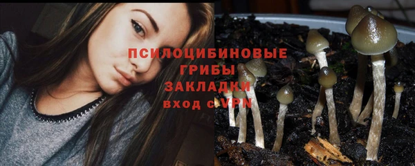 крисы Алексин