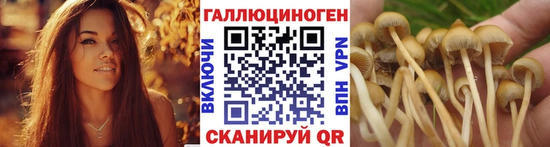 купить наркотики сайты  Ивангород  Псилоцибиновые грибы Magic Shrooms 